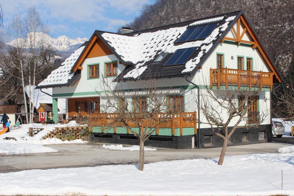 Apartments Villa Dov 博希尼 外观 照片