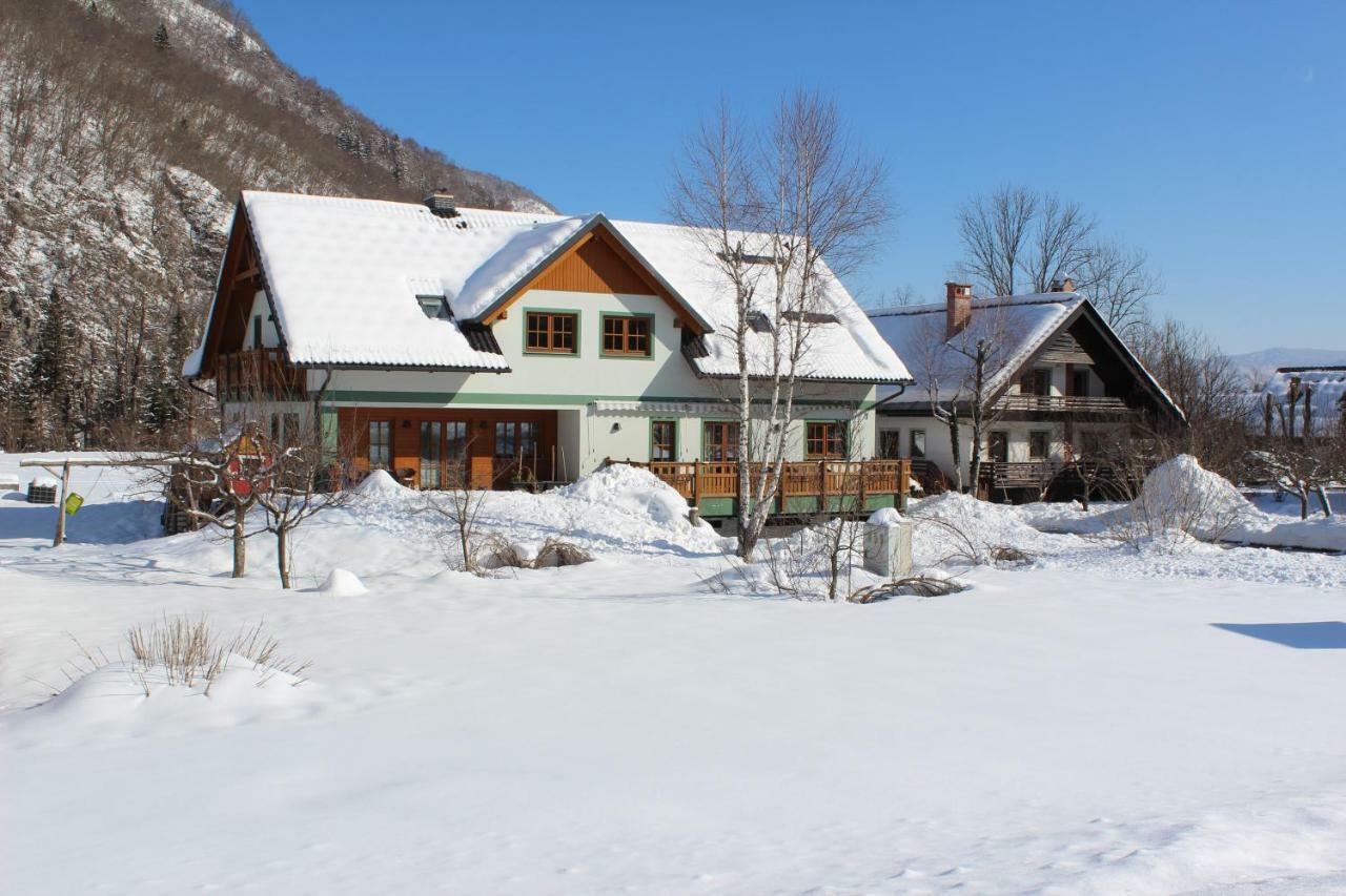Apartments Villa Dov 博希尼 外观 照片