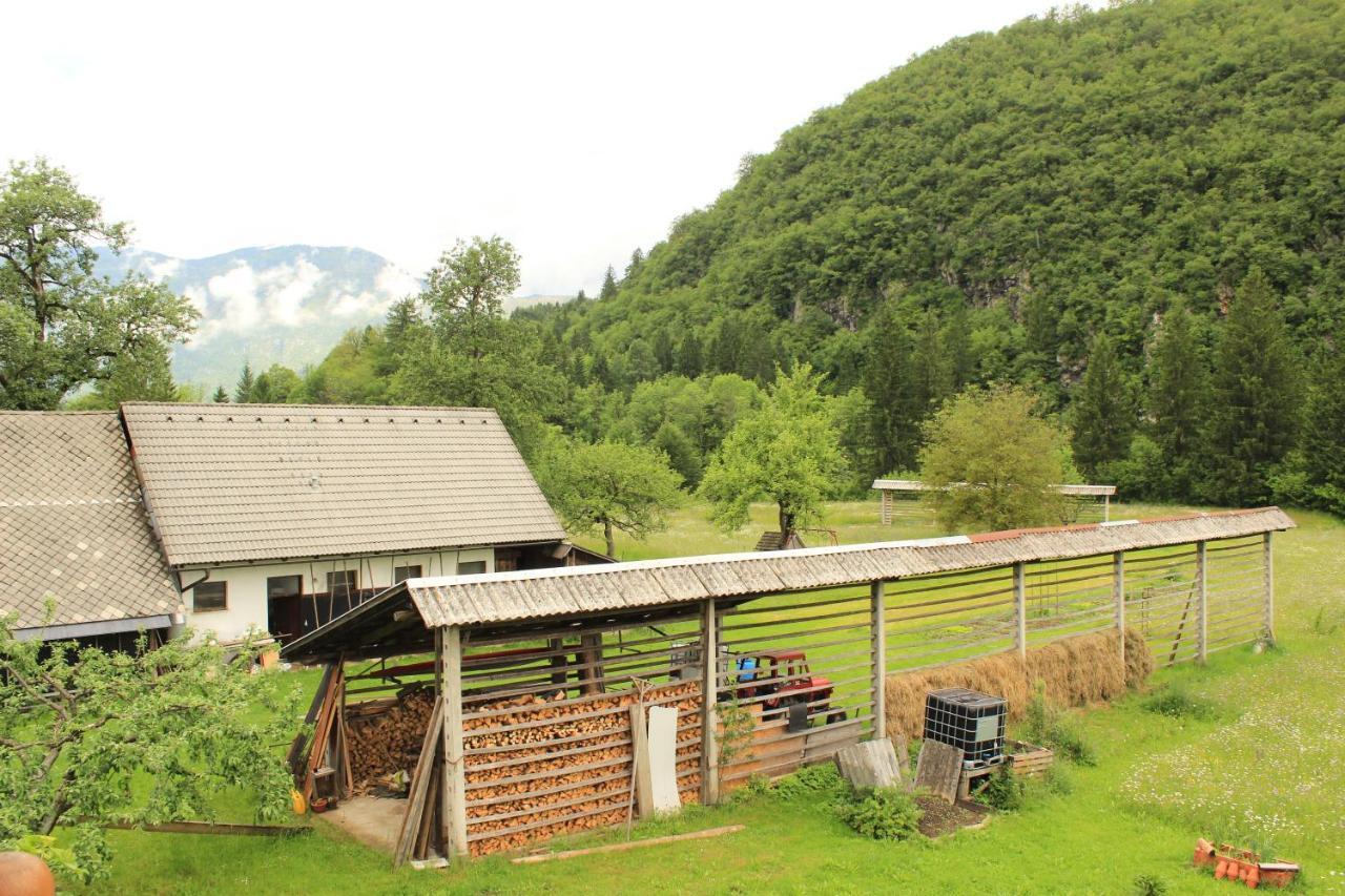 Apartments Villa Dov 博希尼 外观 照片